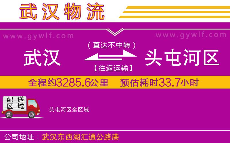 武漢到頭屯河區(qū)物流專線