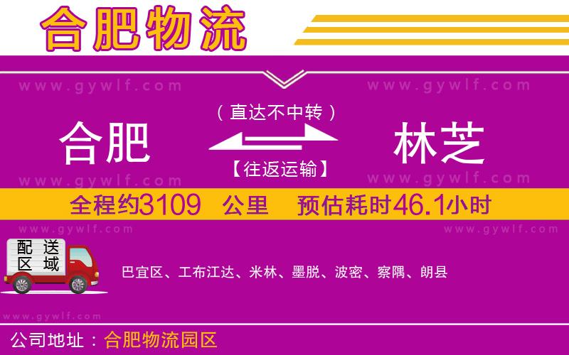 合肥到林芝物流公司