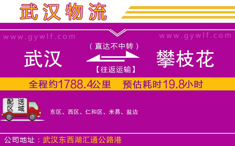 武漢到攀枝花物流公司
