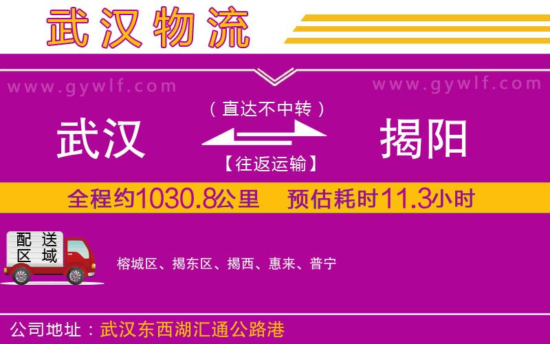 武漢到揭陽(yáng)物流公司