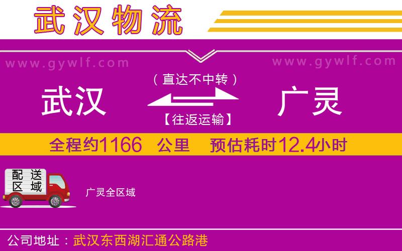 武漢到廣靈物流公司