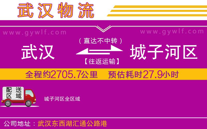 武漢到城子河區(qū)物流公司