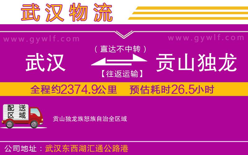 武漢到貢山獨(dú)龍族怒族自治物流專(zhuān)線
