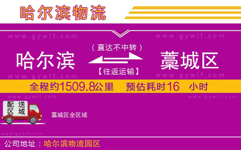 哈爾濱到藁城區(qū)物流公司