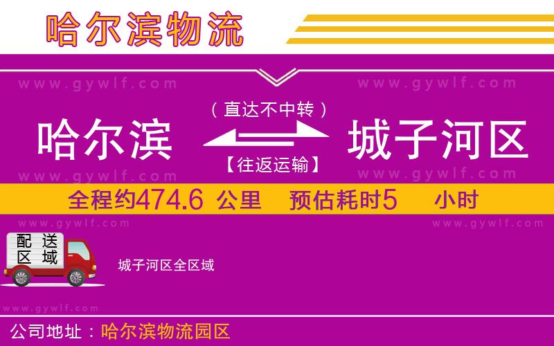 哈爾濱到城子河區(qū)物流公司 哈爾濱到城子河區(qū)物流公司