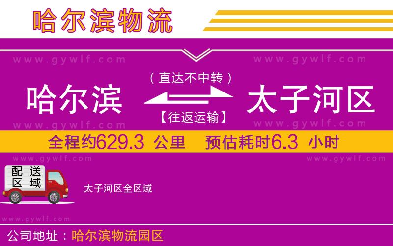哈爾濱到太子河區(qū)物流公司 哈爾濱到太子河區(qū)物流公司