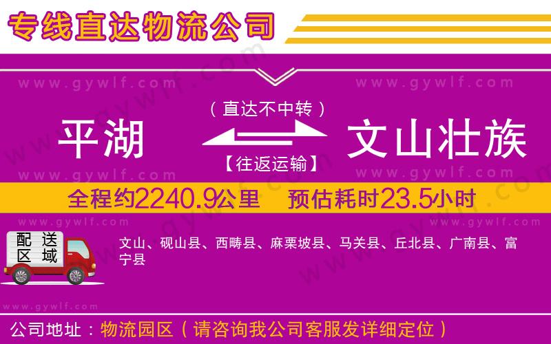 平湖到文山壯族苗族自治州物流公司