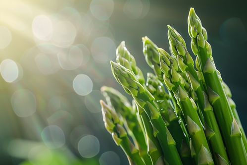 清新自然的蘆筍成熟蔬菜廣告圖素材解析