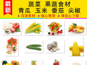精品果蔬食材大全 青瓜、玉米、番茄與尖椒的圖庫(kù)選擇與設(shè)計(jì)用途